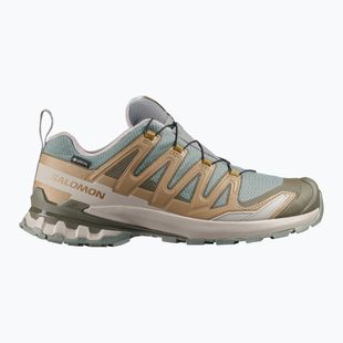 Férfi futócipők Salomon XA Pro 3D V9 GTX sedona sage/brilliant olive