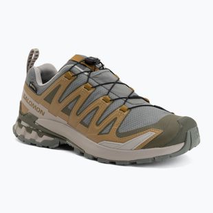 Férfi futócipők Salomon XA Pro 3D V9 GTX sedona sage/brilliant olive