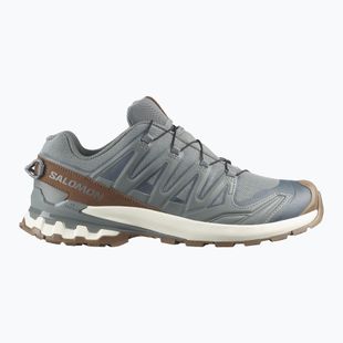 Férfi futócipők Salomon XA Pro 3D V9 GTX Lifelong sedona sage/coyote brown