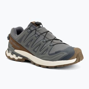 Férfi futócipők Salomon XA Pro 3D V9 GTX Lifelong sedona sage/coyote brown