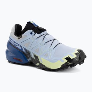 Férfi futócipők Salomon Speedcross 6 GTX Icon brunnera blue/surf the web