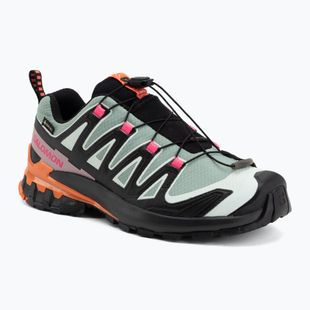 Női futócipők Salomon XA Pro 3D V9 GTX Icon black/green milieu