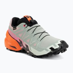 Női futócipők Salomon Speedcross 6 GTX Icon black/green milieu