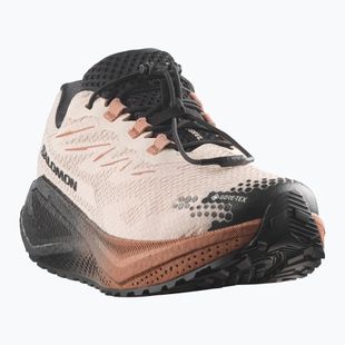 Női futócipők Salomon Aero Blaze 4 GRVL GTX vanilla ice/black