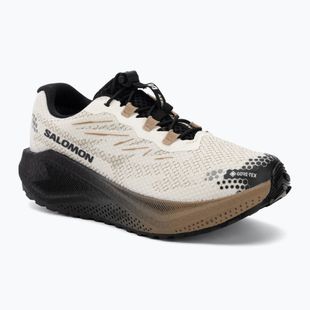 Női futócipők Salomon Aero Blaze 4 GRVL GTX vanilla ice/black