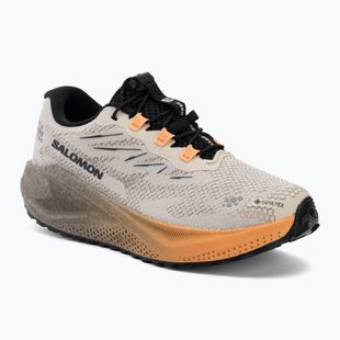 Női futócipők Salomon Aero Blaze 4 GRVL GTX rainy day/black