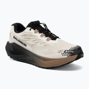 Férfi futócipők Salomon Aero Blaze 4 GRVL GTX vanilla ice/black