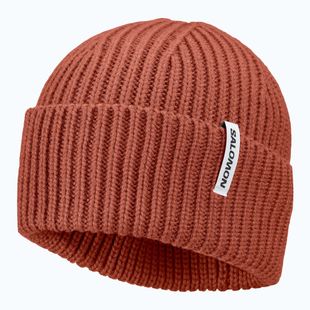 Téli sapka Salomon Snowbird burnt umber