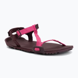 Női barefoot szandál Xero Shoes Z-Trail EV fuchsia purple