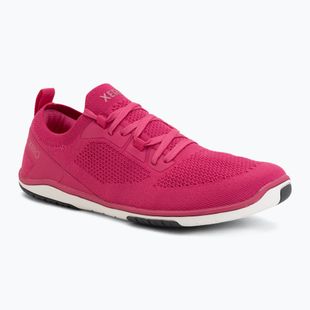 Női barefoot cipők Xero Shoes Nexus Knit fuchsia purple