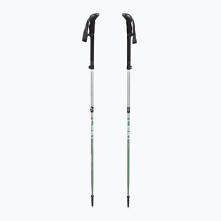 Trekkingbotok LEKI Makalu FX TA silver/greygreen/white