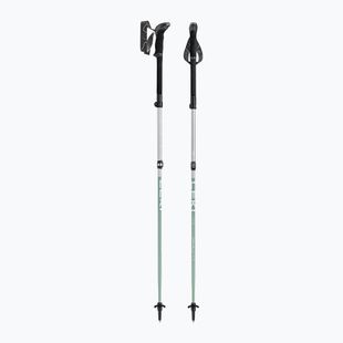 Trekkingbotok LEKI Makalu FX TA silver/greygreen/white