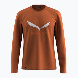 Férfi hosszú ujjú póló Salewa Solidlogo Dry bombay brown