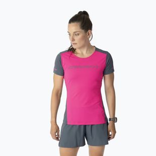 Női futópóló DYNAFIT Alpine 2 Tee pink glo