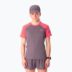 Női futó póló Dynafit Alpine Pro SS Tee cabana/6A90