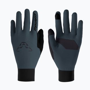 Síalpinizmus kesztyűk DYNAFIT Blacklight Polartec Alpha cinder