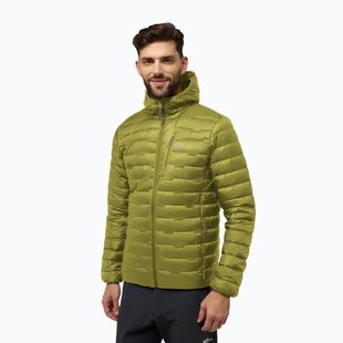 Férfi pehelykabát Jack Wolfskin Passamani Down Hoody khaki green