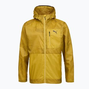 Férfi futókabát Puma Seasons Windcell Running Jacket gold