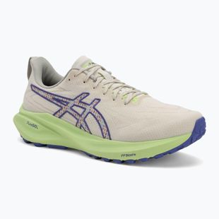 ASICS GT-2000 13 TR férfi futócipő természetfürdő/lime zöld