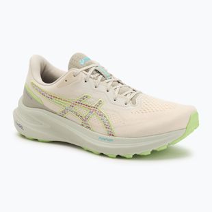 ASICS GT-1000 13 TR férfi futócipő természetfürdő/lime zöld