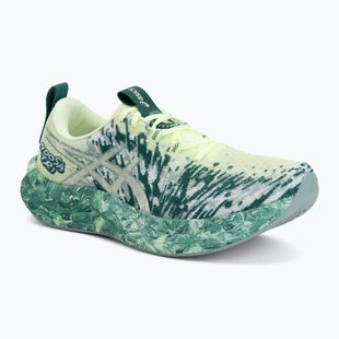 Férfi futócipők ASICS Noosa Tri 16 illuminate yellow/jewel green