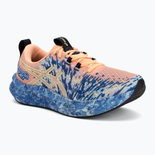 Férfi futócipők ASICS Noosa Tri 16 bright sunstone/soft sky