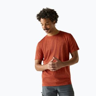 Férfi túrapóló REGATTA Fingal Edition rusty orange