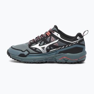 Férfi cipők Mizuno Wave Daichi LS stormy weather/silver