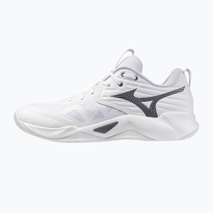 Röplabda cipő Mizuno Wave Momentum Pro white/metallic gray/black