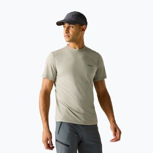 Férfi póló REGATTA Mindoi Anti Insect abbeystone