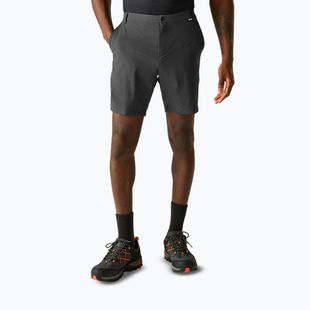 Férfi trekking rövidnadrág REGATTA Anti Insect Travel Light ash