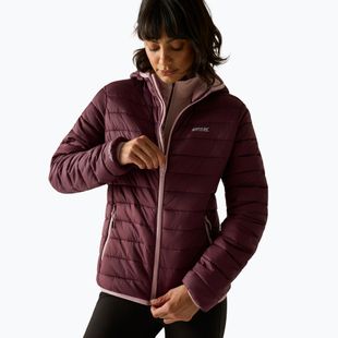 Női pehelykabát Regatta Hooded Marizion fig