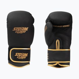 Boxkesztyű StormCloud Boxing Pro black/gold