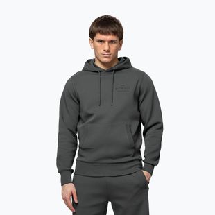 Férfi pulóver Pitbull Sampson Hooded Sweatshirt grey/green