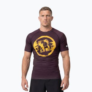 Férfi póló Pitbull Rashguard Logo Palms brown
