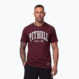 Férfi póló Pitbull Norton burgundy