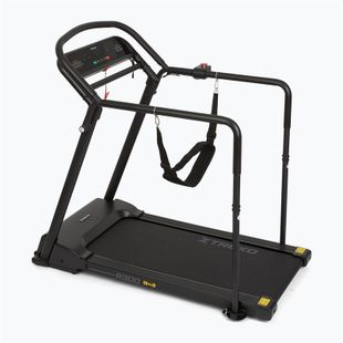 Elektromos futópad XTREXO R300 black