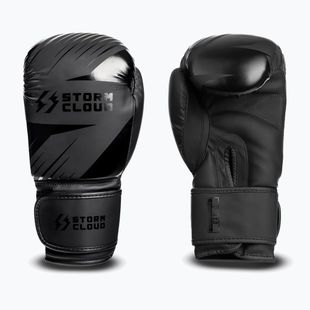 Bokszkesztyűk StormCloud Lynx 2.0 black/black