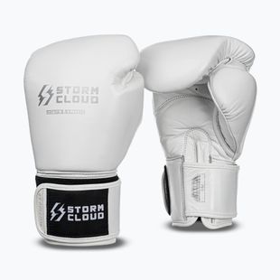 Bokszkesztyűk StormCloud Muay Thai Blizzard 2.0 white/silver