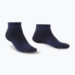 Férfi trekkingzokni Bridgedale Hike Midweight Performance Ankle navy