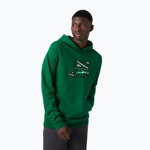 Férfi trekking pulóver Helly Hansen F2F Organic Cotton Hoodie malachite malachite