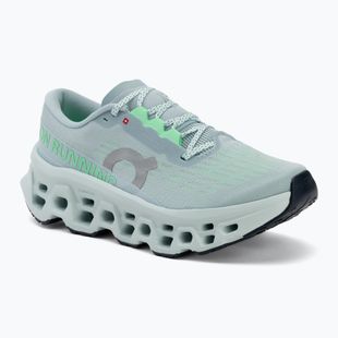 Női futócipők On Cloudmonster 3 brook/flurry