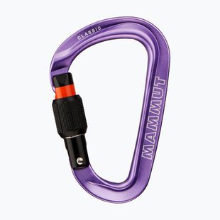 Karabély Mammut Classic HMS Screwgate screw gate/alpine calamint