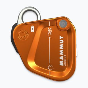 Biztosítóeszköz Mammut Assist Belay Resistor gold