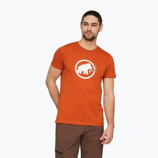 Férfi póló Mammut Core T-Shirt Men Classic autumn larice
