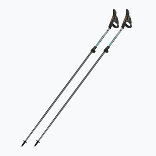 Nordic walking botok Fizan Carbon Pro Impulse grey