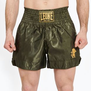 Férfi boxer rövidnadrág LEONE 1947 Basic 2 green