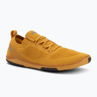 Férfi mezítlábas cipő Xero Shoes Nexus Knit arany