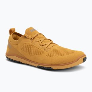 Női mezítlábas cipő Xero Shoes Nexus Knit arany