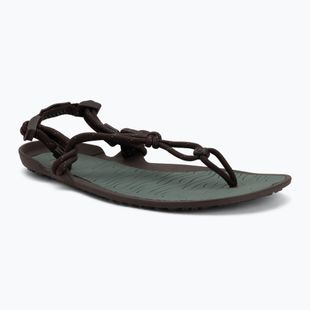 Férfi barefoot szandálok Xero Shoes Aqua Cloud java/brown/dark/forest